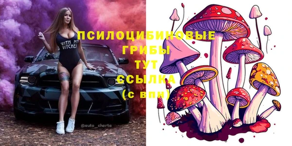 гидра Балахна