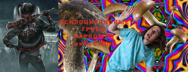 сатива Баксан
