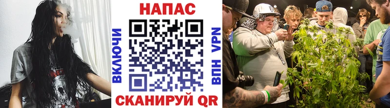 Конопля MAZAR ОМГ ОМГ как войти Тулун закладки